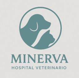 MINERVA HOSPITAL VETERINARIO
