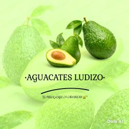 Aguacates Ludizo