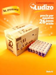 img_ComercializadoraLudizoAND31OV0E_1